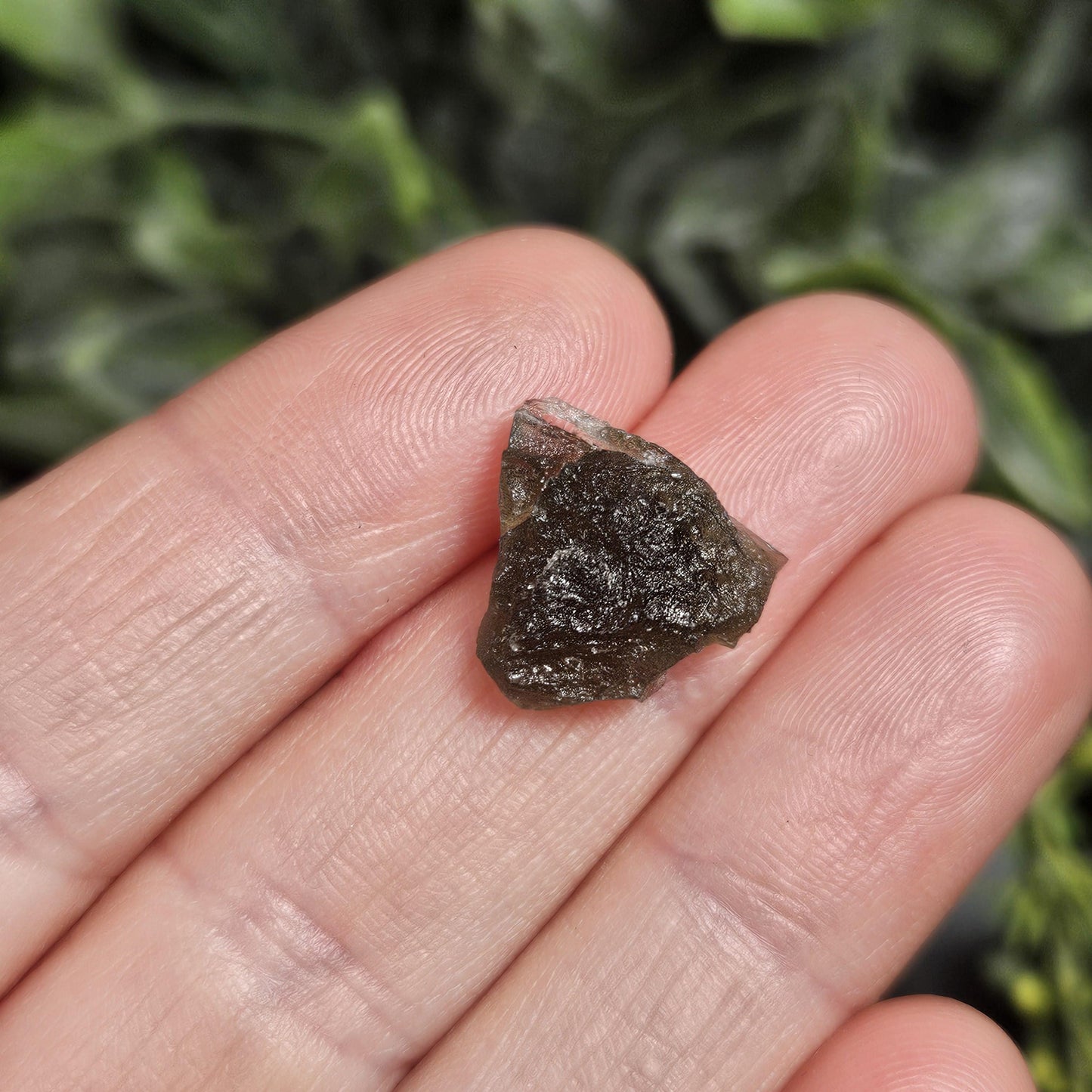 Angel Chime Moldavite (1.35g) Moldavite