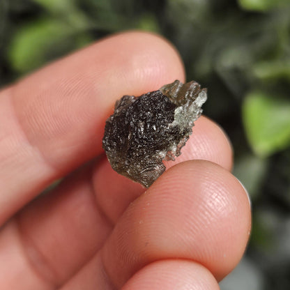 Angel Chime Moldavite (1.35g) Moldavite