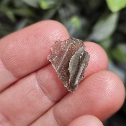 Angel Chime Moldavite (.53g) Moldavite