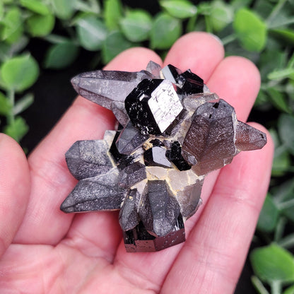 Black Tourmaline & Smoky Quartz 62g
