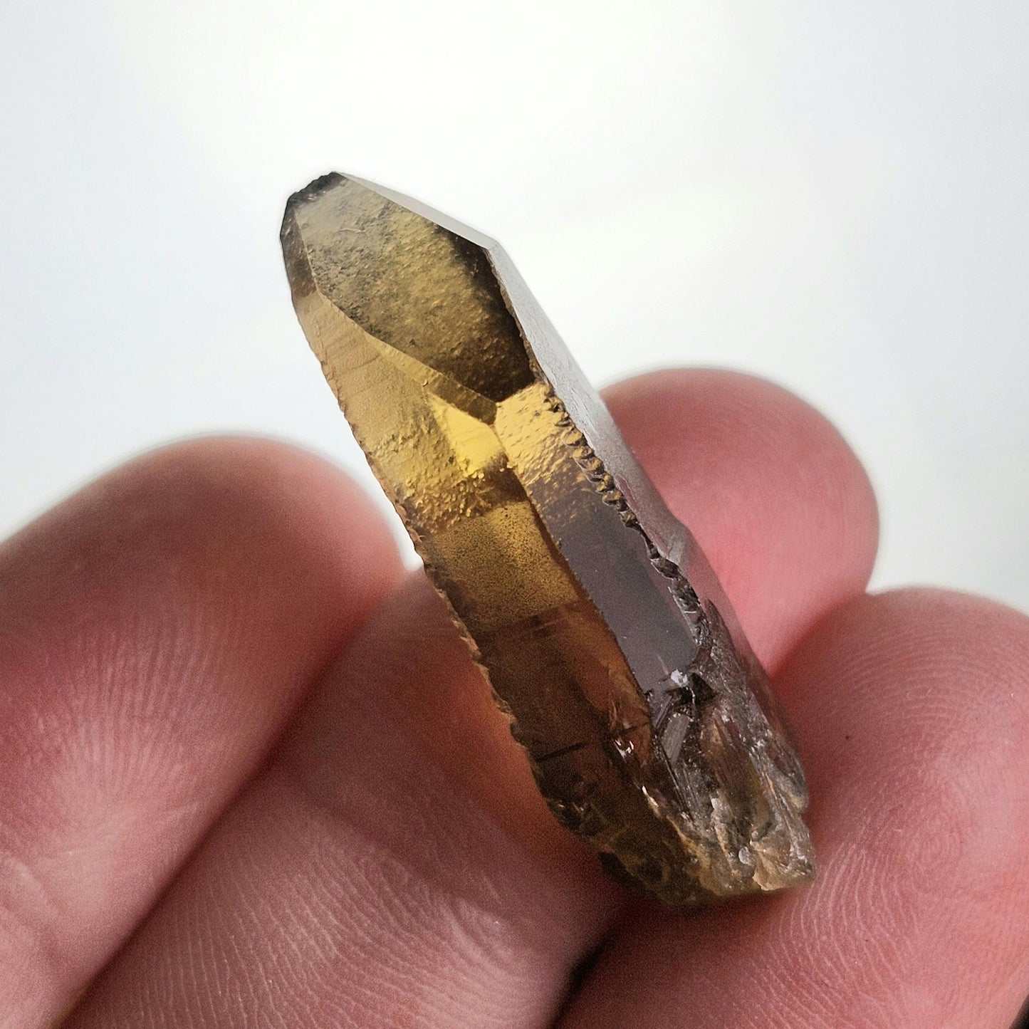 Terminated Smoky Citrine