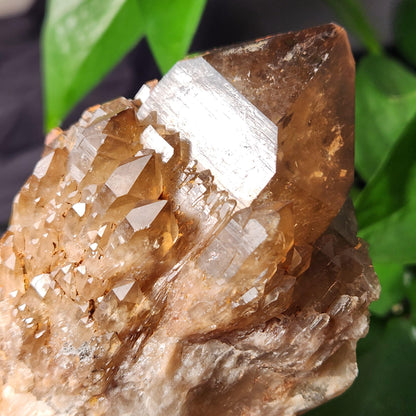 Kundalini Citrine 540g