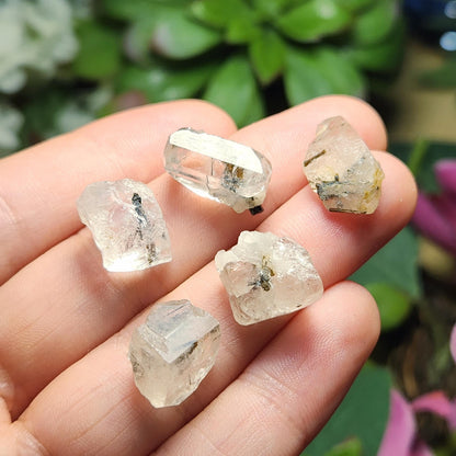 Clear Topaz with Tourmaline Blades – Rare Pakistan Raw Crystal Specimen Combo