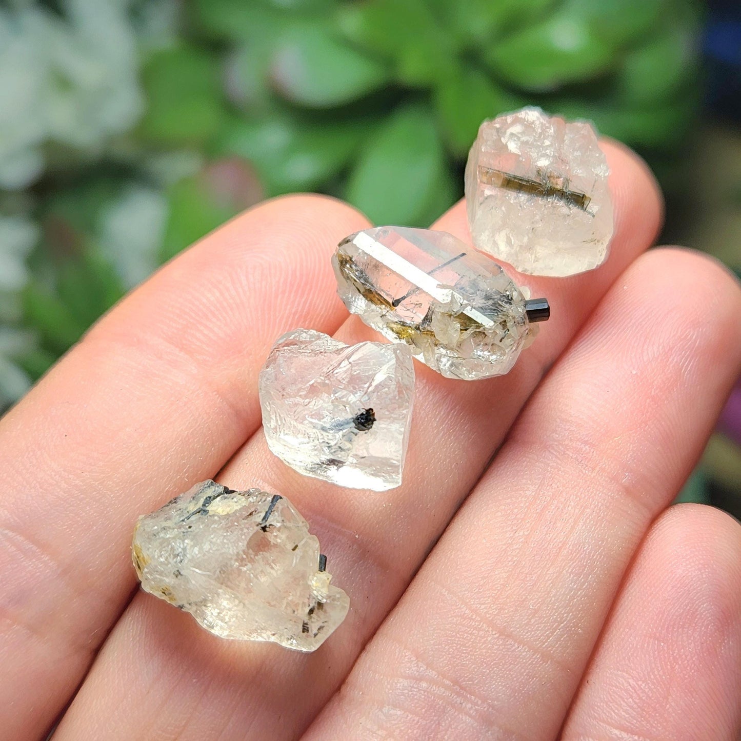 Clear Topaz with Tourmaline Blades – Rare Pakistan Raw Crystal Specimen Combo