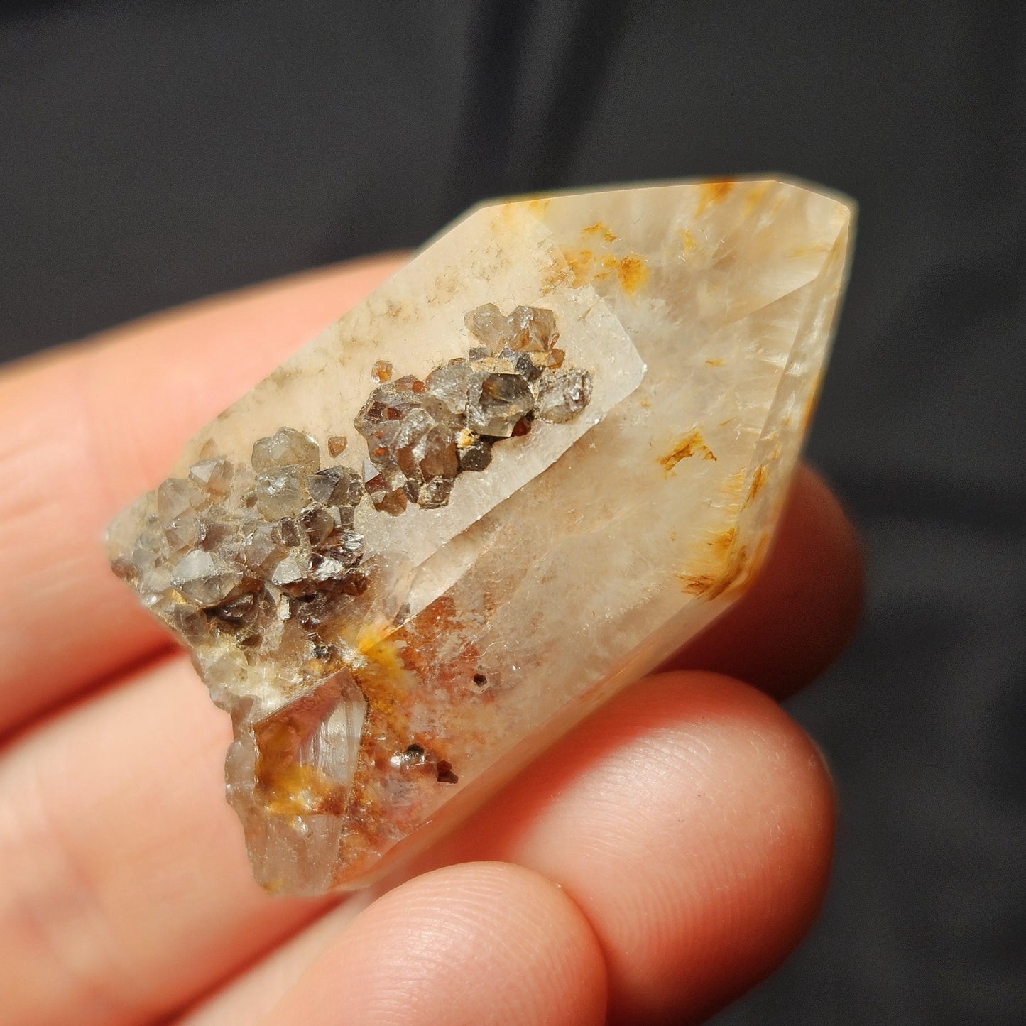 Snow Rose Dreamcoat Lemurian