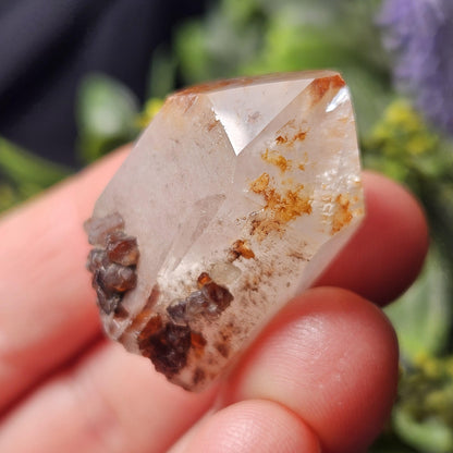 Snow Rose Dreamcoat Lemurian