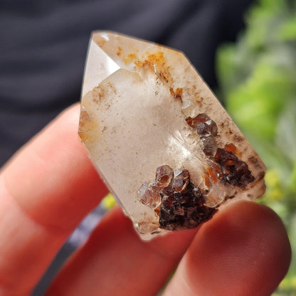 Snow Rose Dreamcoat Lemurian