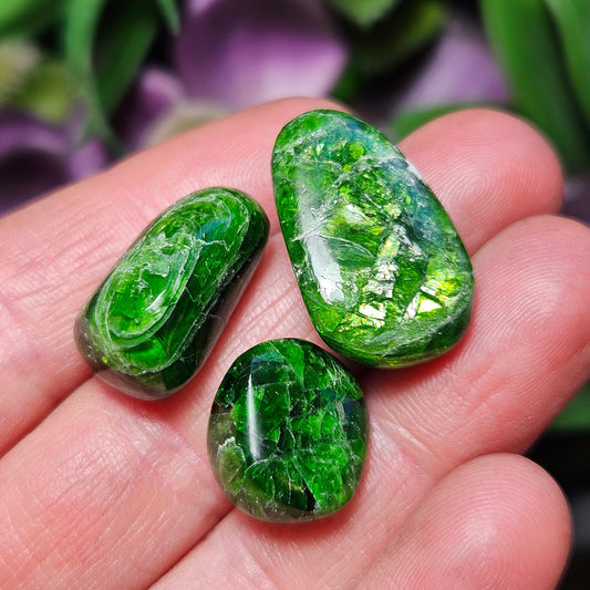 Chrome Green Diopside Tumbled Crystal Gem