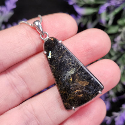 Greenland Nuummite Pendant, Rare Authentic Collector's Crystal