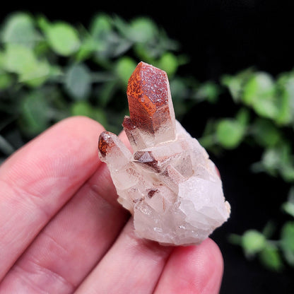 Orange River Phantom Quartz Crystal Cluster: Hematite Inclusions
