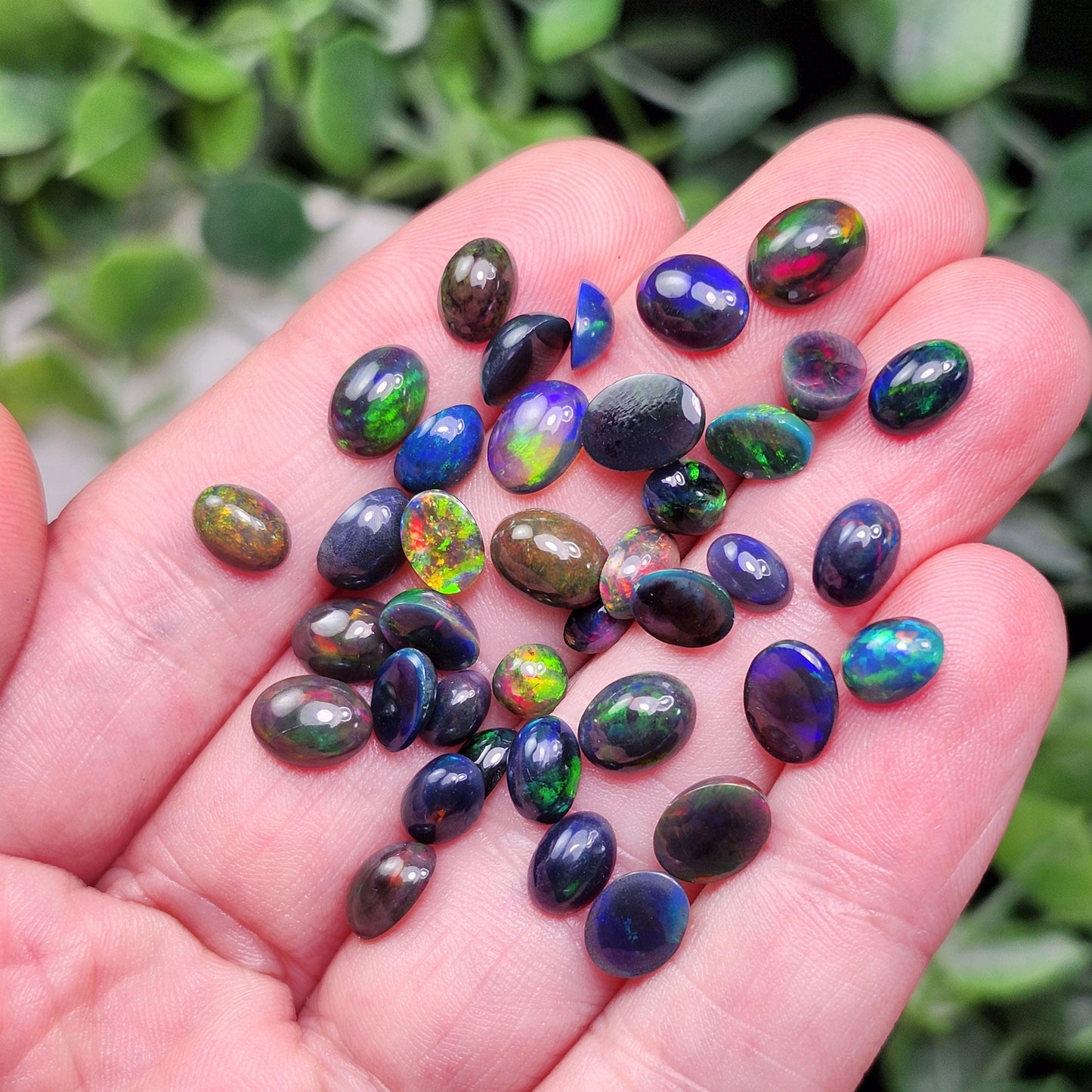 Black Opal Cabochon