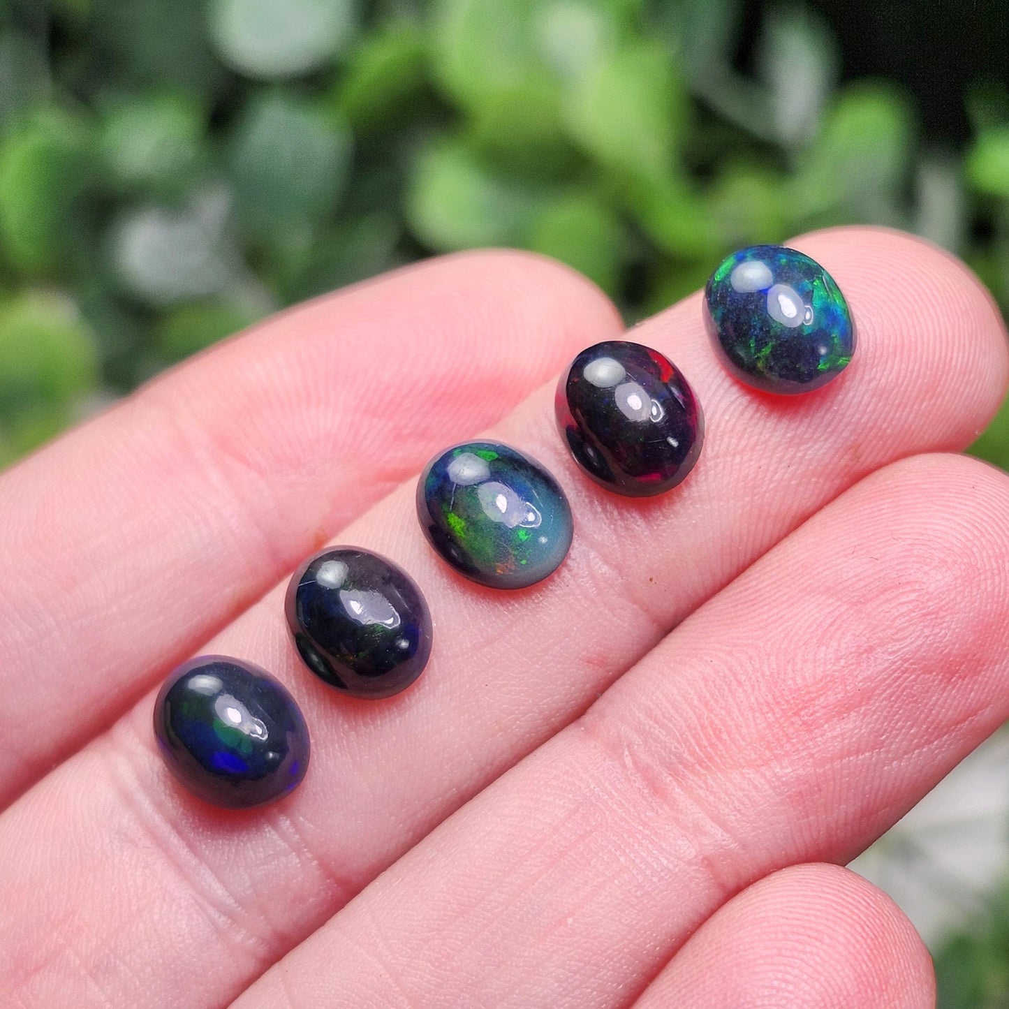 Black Opal Cabochon