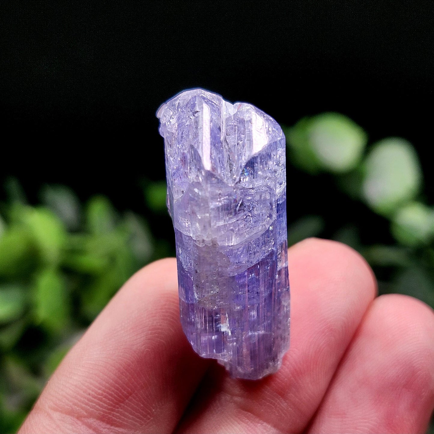 Tanzanite Crystal 11g