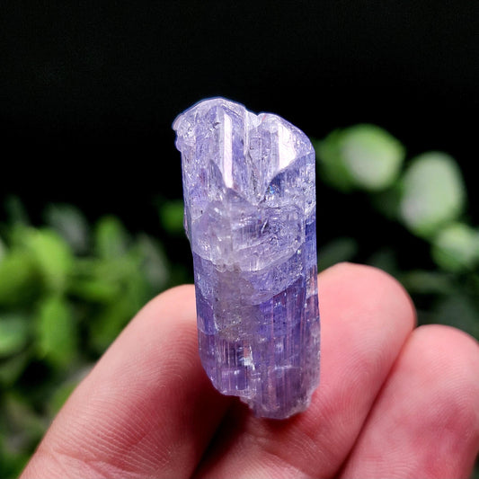 Tanzanite Crystal 11g