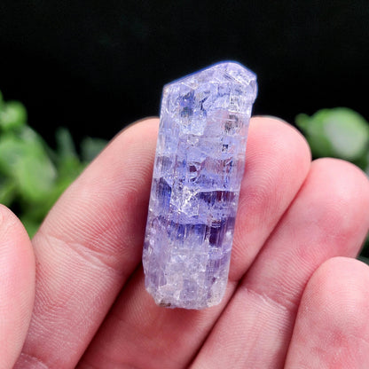 Tanzanite Crystal 11g