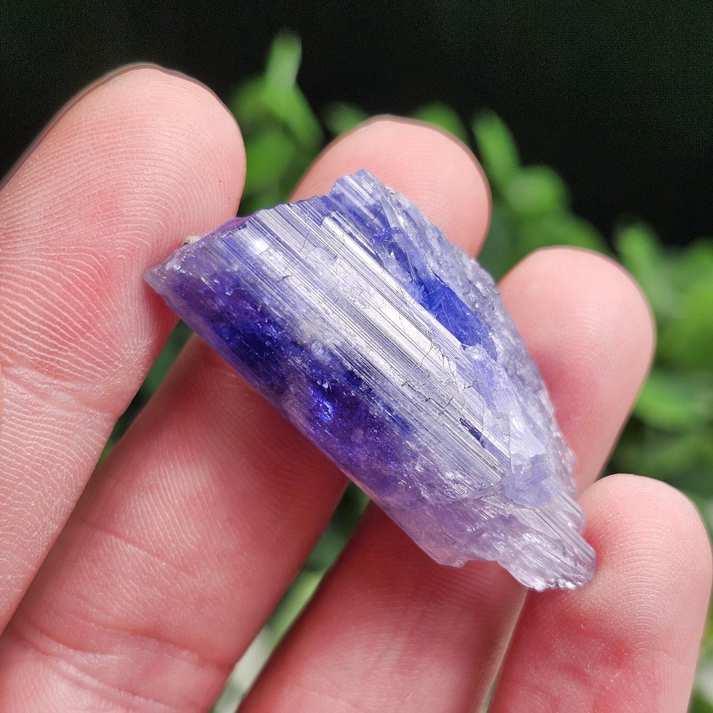 Tanzanite Crystal 11.6g