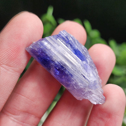 Tanzanite Crystal 11.6g