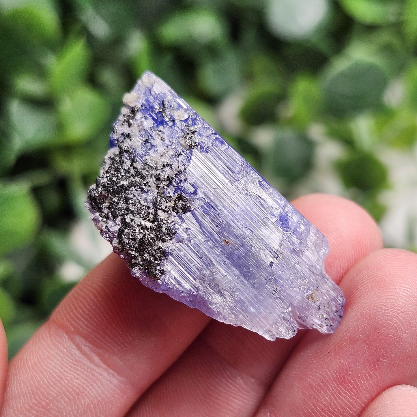Tanzanite Crystal 11.6g