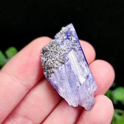 Tanzanite Crystal 11.6g