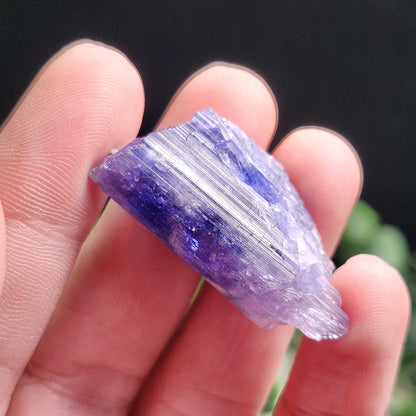 Tanzanite Crystal 11.6g