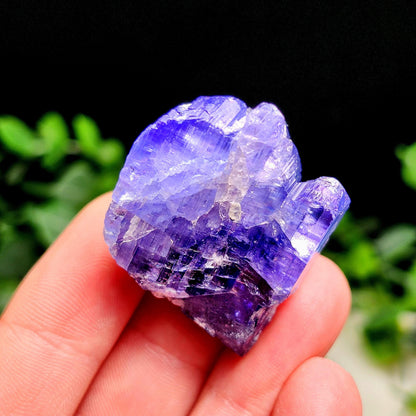 HUGE Tanzanite Crystal with Rainbows 30.46g