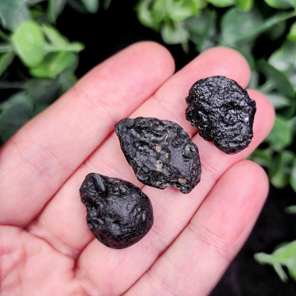 Indochinite Tektite