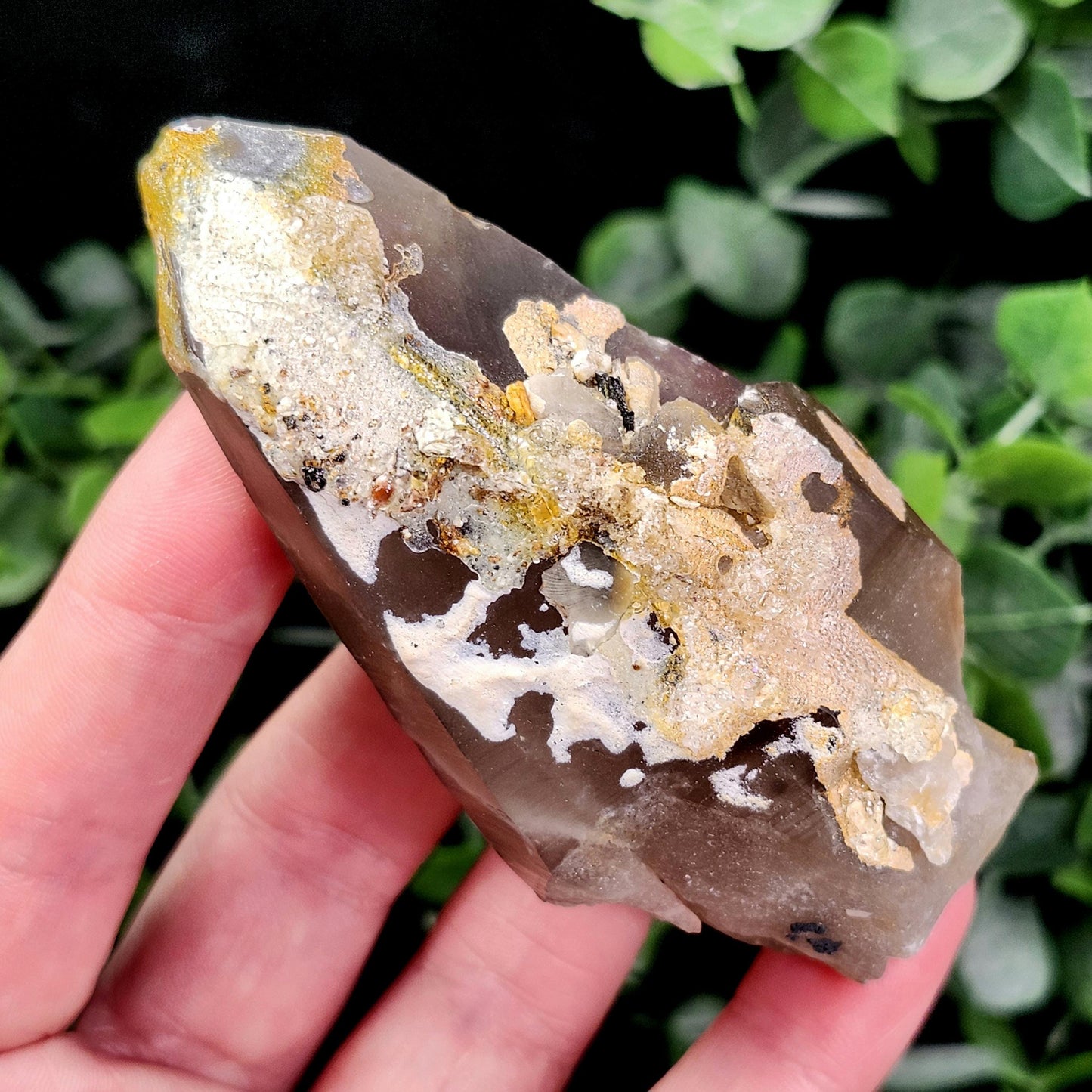 Hyalite Opal Smoky Quartz 120g