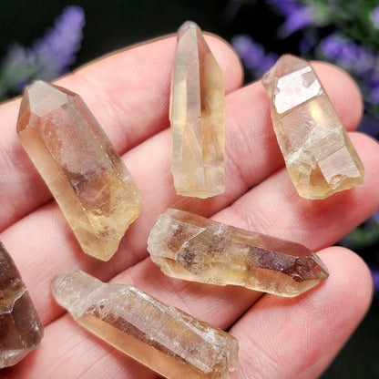 Natural Congo Citrine