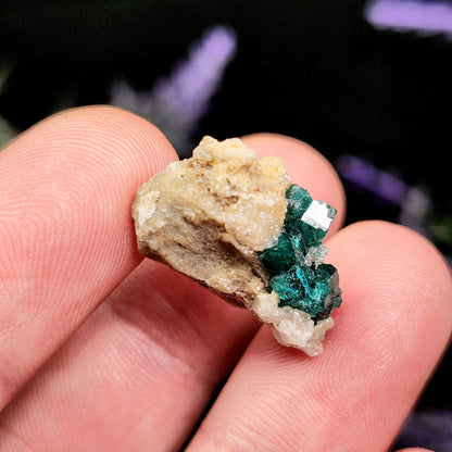Dioptase Cluster