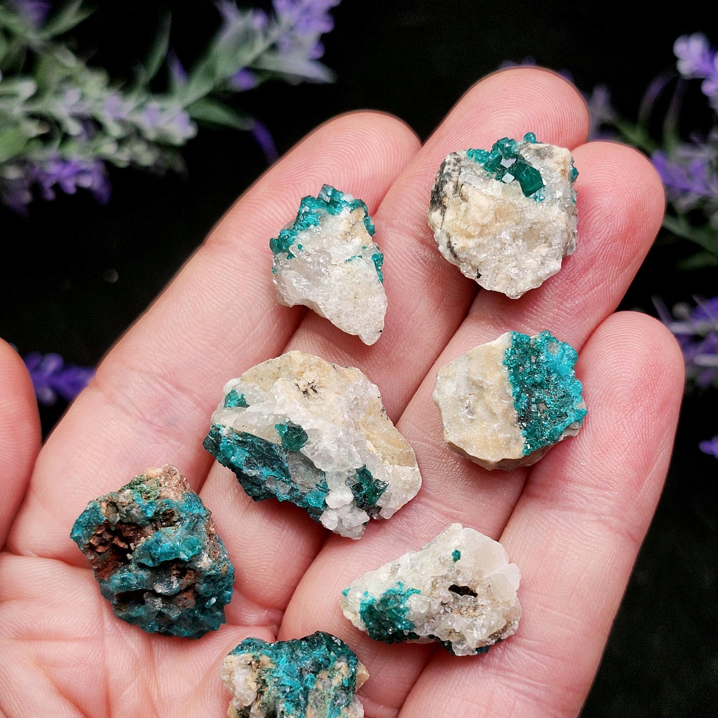 Dioptase Cluster