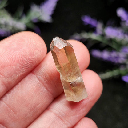 Natural Congo Citrine
