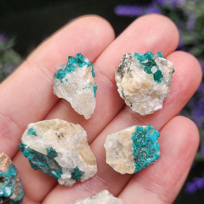 Dioptase Cluster