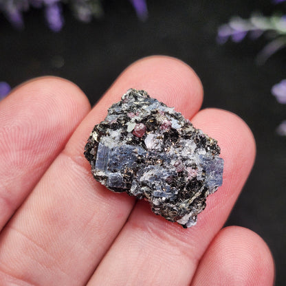 Kyanite, Garnet, & Biotite Specimen