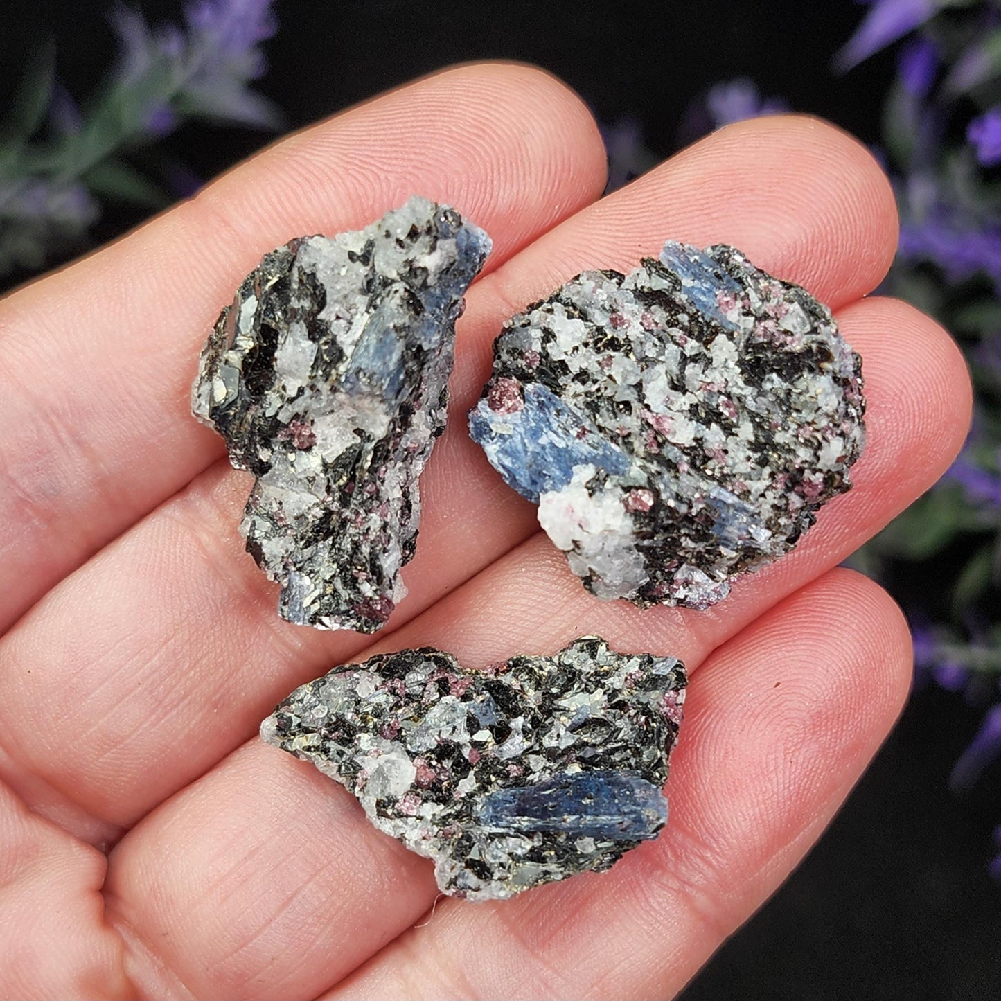 Kyanite, Garnet, & Biotite Specimen
