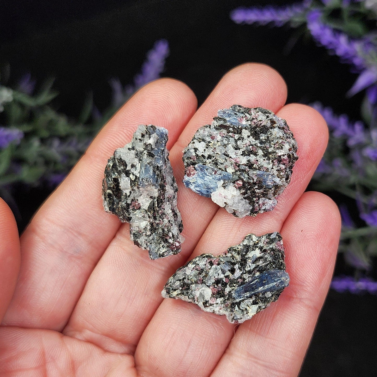 Kyanite, Garnet, & Biotite Specimen