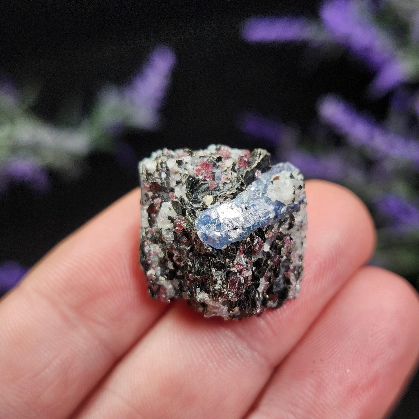 Kyanite, Garnet, & Biotite Specimen