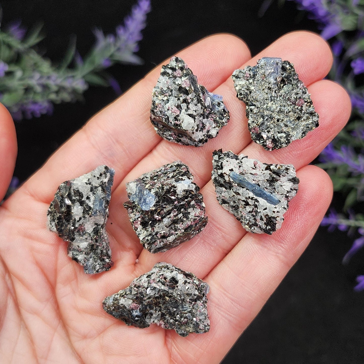 Kyanite, Garnet, & Biotite Specimen