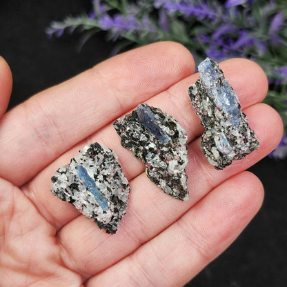 Kyanite, Garnet, & Biotite Specimen