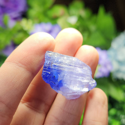 Bi Color Tanzanite Crystal 7.6g, Tanzanite Gemstone
