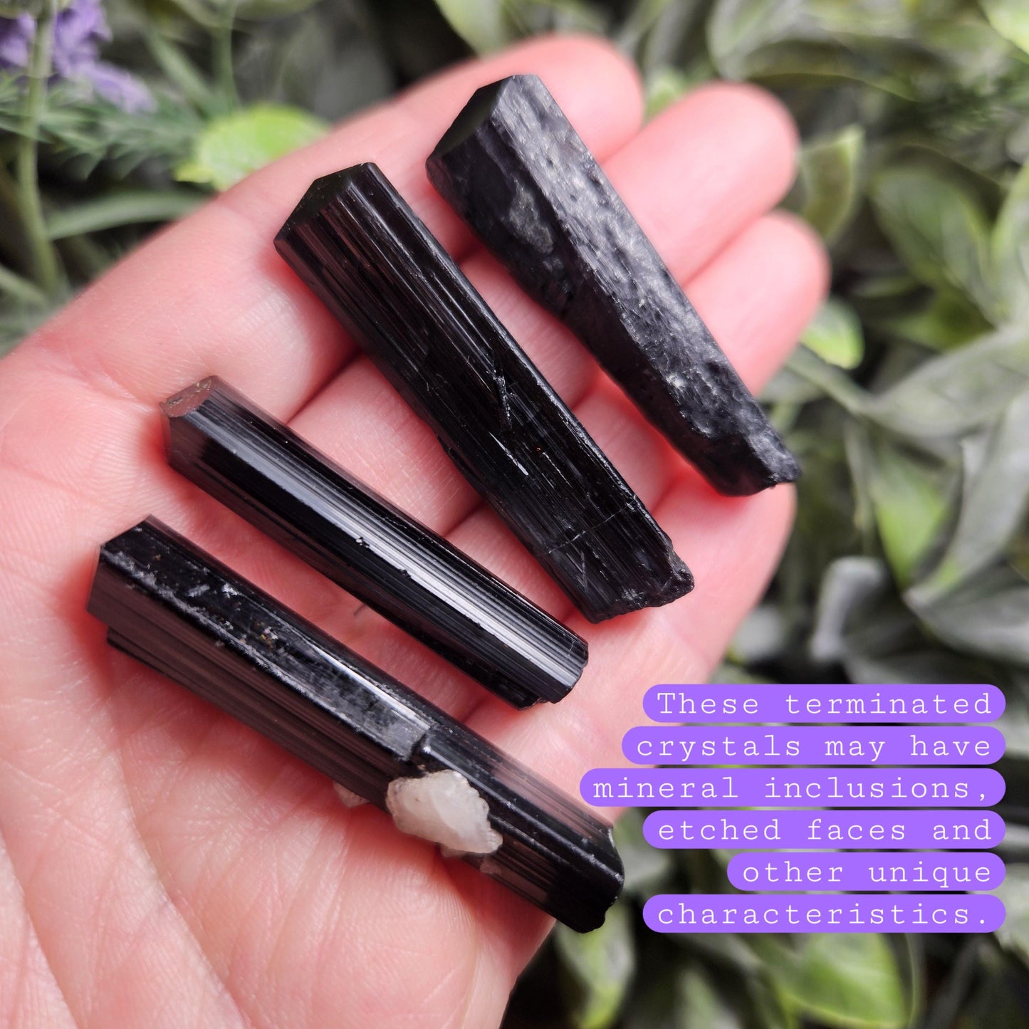 Black Tourmaline Crystal Wand, 1.5"+ Terminated & Natural
