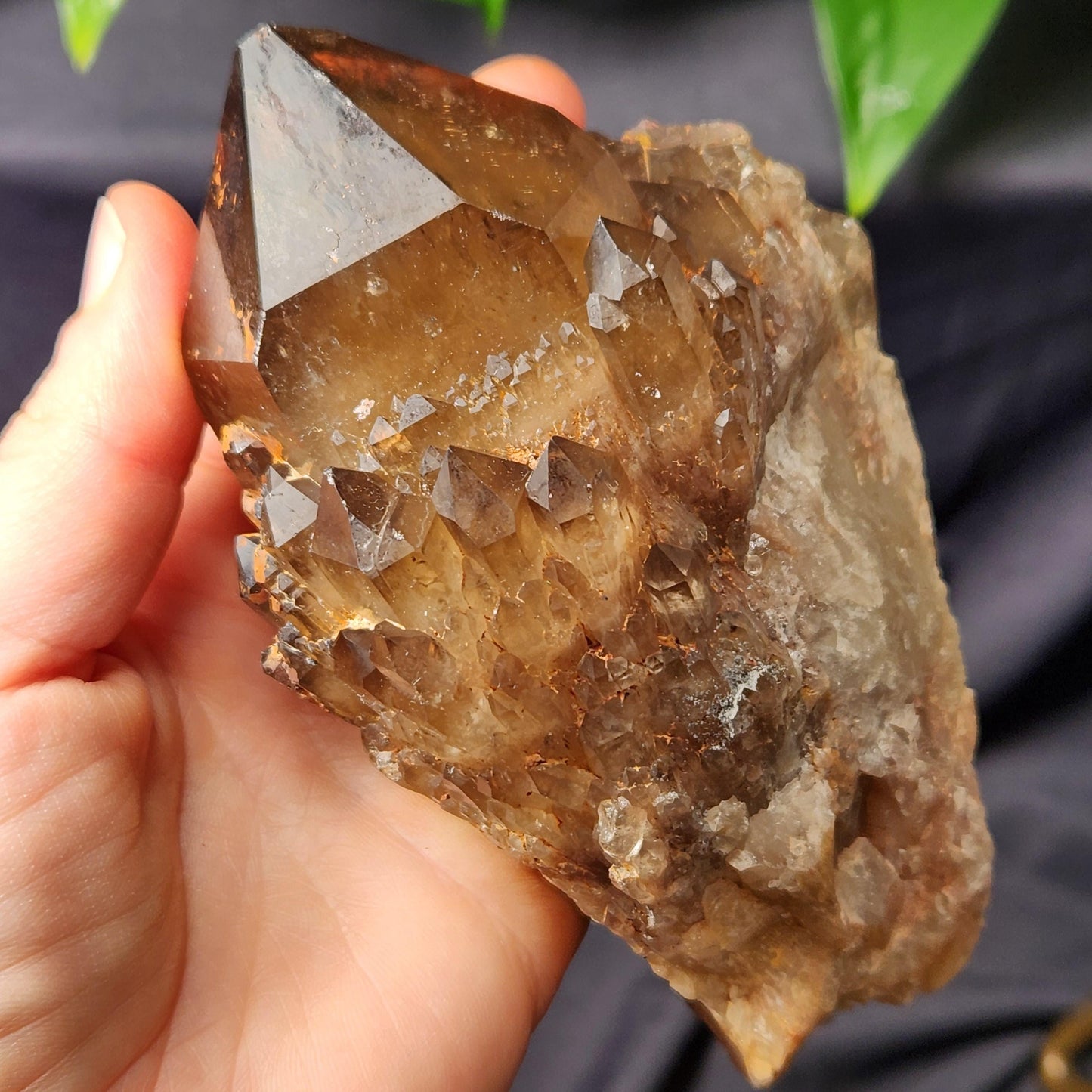 Kundalini Citrine 540g