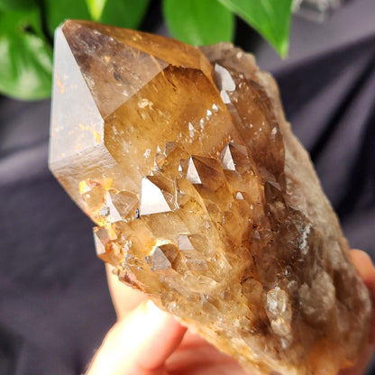 Kundalini Citrine 540g