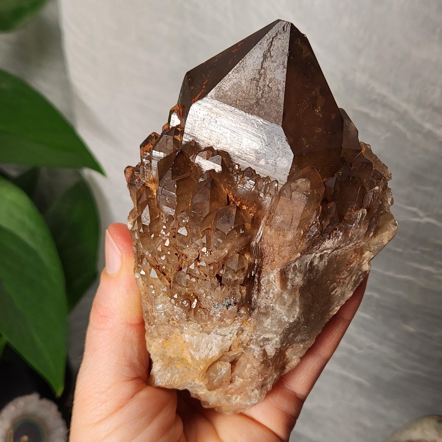 Kundalini Citrine 540g