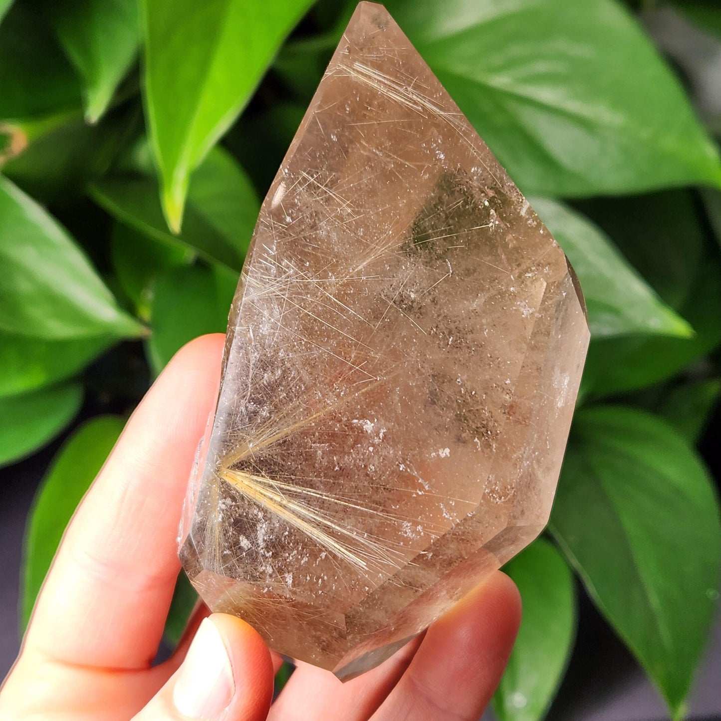 Polished Hematite Rutile Star Specimen 315g