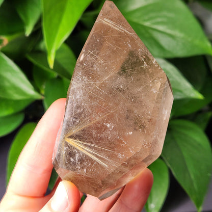 Polished Hematite Rutile Star Specimen 315g
