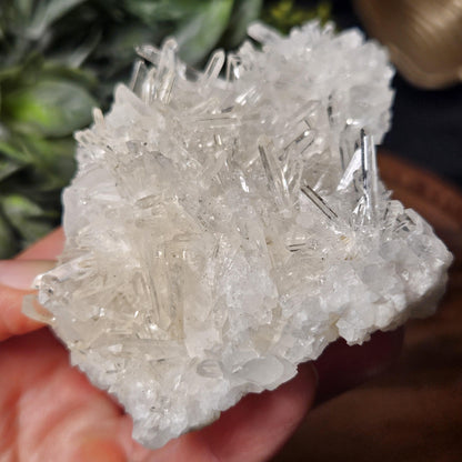 Lemurian Quartz Cluster 205g