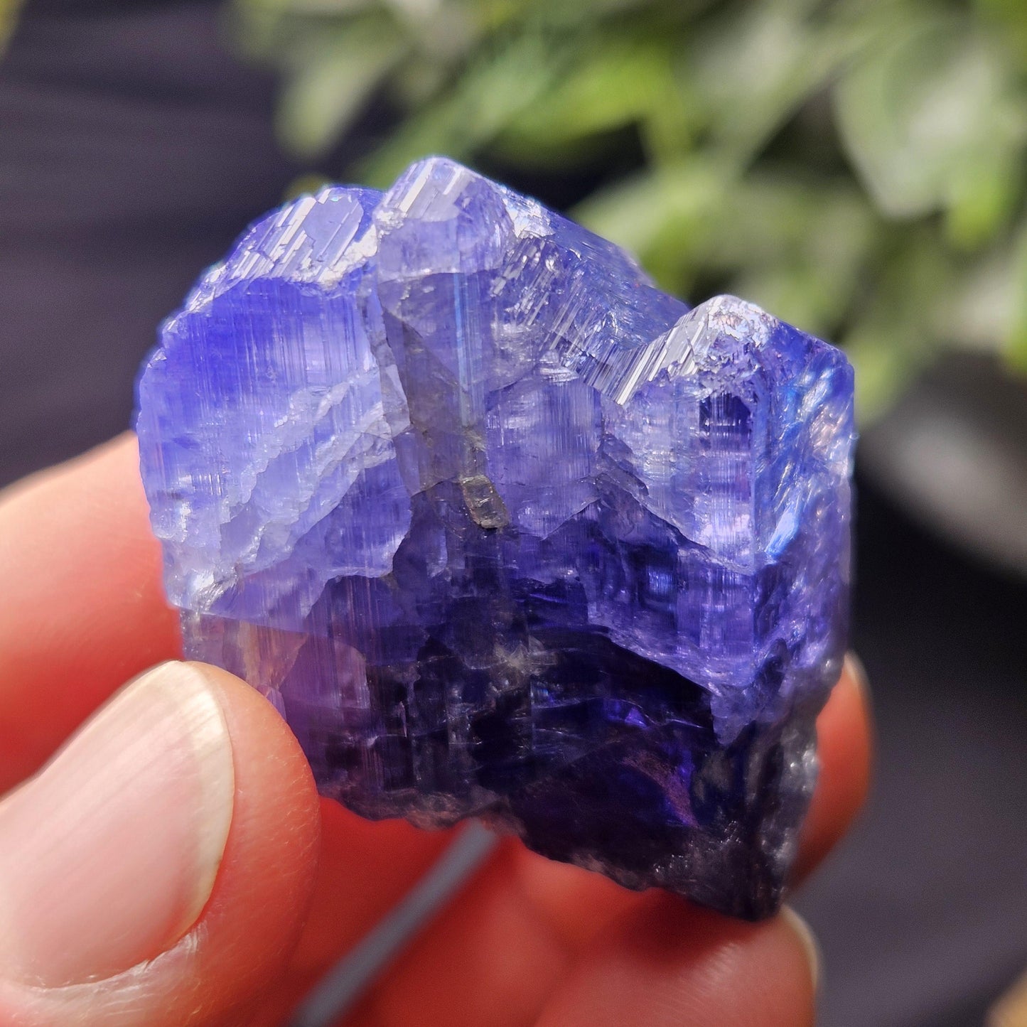 HUGE Tanzanite Crystal with Rainbows 30.46g