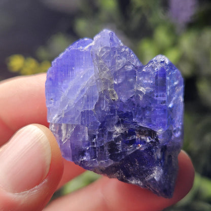 HUGE Tanzanite Crystal with Rainbows 30.46g