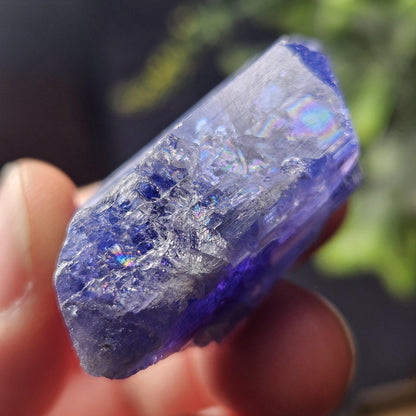 HUGE Tanzanite Crystal with Rainbows 30.46g
