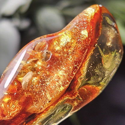 Amber with Insects, 10.6g Polished Amber from Colombia